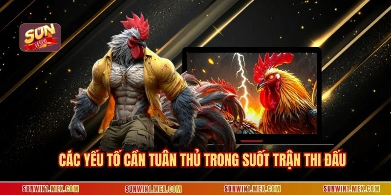 Các yếu tố cần tuân thủ trong suốt trận thi đấu