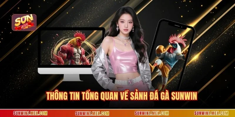 Thông tin tổng quan về sảnh đá gà Sunwin