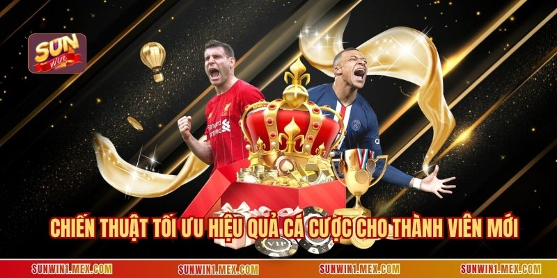 Chiến thuật tối ưu hiệu quả cá cược cho thành viên mới