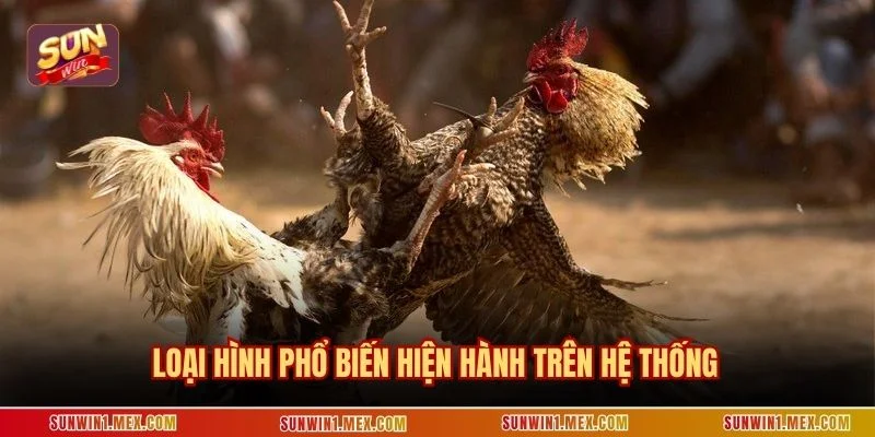 Loại hình phổ biến hiện hành trên hệ thống