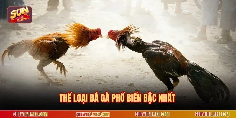 Thể loại đá gà phổ biến bậc nhất