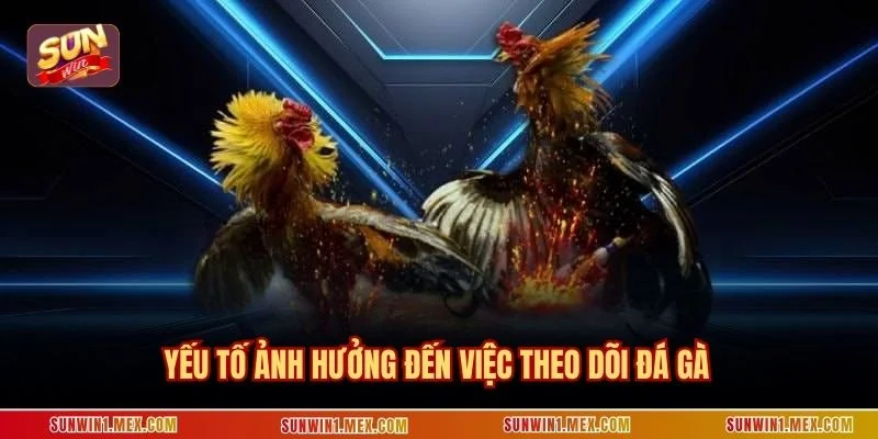 Yếu tố ảnh hưởng đến việc theo dõi đá gà