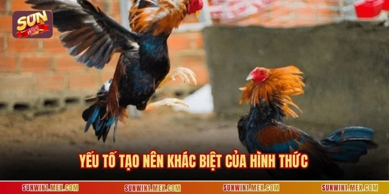 Yếu tố tạo nên khác biệt của hình thức